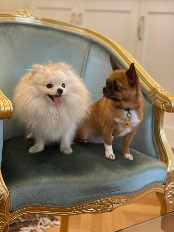 Palazzo Monga Boutique Guesthouse 베로나 외부 사진